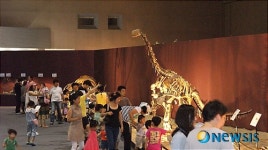 대구, Hi Dino 공룡 엑스포