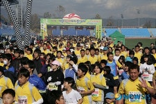 제8회 거창사과마라톤대회