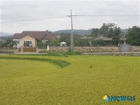 강.절도를 당한 경주시 외동읍 괘릉리의 한 주택 전경