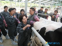 청원농기센터 가축인공수정 실습교육