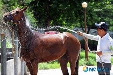 대전시에 실내승마장 생기나