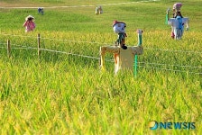 포즈 취하는 허수아비들?