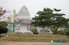 괴산 청안초 개교 100주년 맞았어요