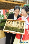 (주)한국인삼공사 롯데동래점 | 롯데百 찾아 햇인삼으로 활력충전 하세요