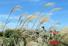 선선한 가을 날씨, 하늘공원 찾은 시민들
