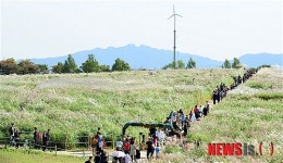 10월 첫 휴일, 하늘공원 찾은 시민들