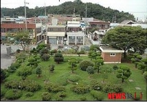 군산 진포중, 정부 모델 학교숲 우수사례 뽑혀