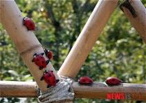 쓸모 없던 저수지 주민 쉼터로 탈바꿈…지역 명소 기대