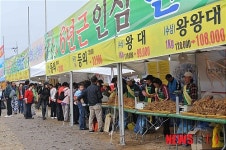 홍천 인삼, 한우 축제