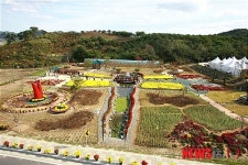 청양농업활력축전 25, 26일 청양농업기술센터에서