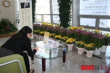 국화꽃 향기가 가득한 원주우체국으로 놀러오세요