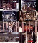 SBS TV동물농장-동물사랑실천협회 불화, 왜?