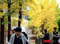 노란 은행나무길 걷는 학생들