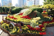 국화의 향연으로 초대합니다