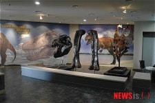 포항바다화석박물관 수집화석 특별전 ‘시대의 주역들’ 개최