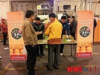 서귀포농협, 감귤 브랜드 천상천하 호평