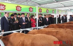 무안 일로에 현대식 가축시장 개장