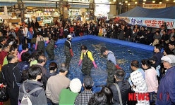 도심속 바다축제, 활어맨손잡기 행사