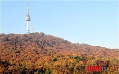 붉은 옷 갈아입는 남산