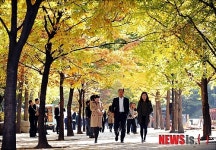 여의도 금융가의 거리