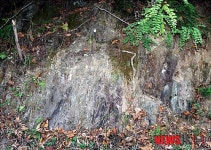 풍화된 호상편마암