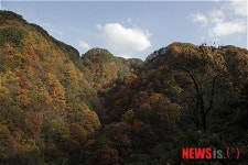 전북 남원 지리산 단풍 절정