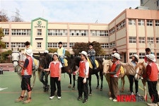 인천 혜광학교 찾아가는 승마 체험