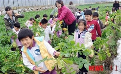 어린이 농장체험