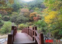 포항시, 가을 낭만을 영일만 둘레 숲길과 함께