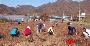 농진청, 농촌 오지마을에서 봉사활동
