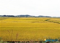 도시 부럽지 않은 농촌…억대 소득농가 육성하는 김제