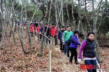 대부도 해안길 걷기 행사