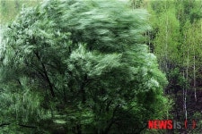 한영희〈THE NATURE〉사진전