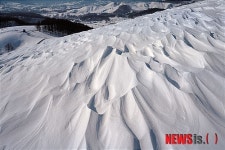 한영희〈THE NATURE〉사진전