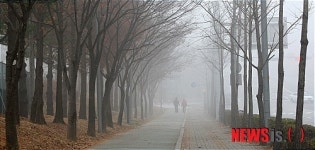 안개 낀 수원도심