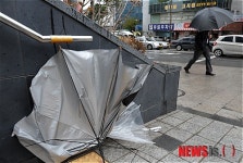 비바람에 망가진 우산