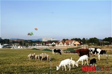 국내 최대규모 체험형 놀이목장, 안성팜랜드 7일 개장
