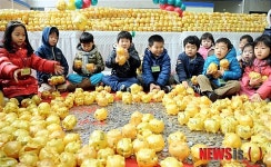 황금돼지 저금통 모았어요!