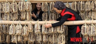 된장마을 겨울 풍경