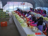 연기군, 사랑의 김장 나누기 행사