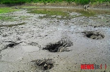 청원군 광산인근 임야 함몰