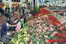 롯데월드 새해 플라워 페스티벌