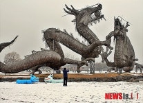 쌍용 앞에서 셔터 누리기 바쁜 관광객