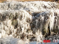 얼음 꽃의 향연 밀양서 열린다