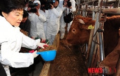 박근혜 위원장, 축사에서 사료 배급
