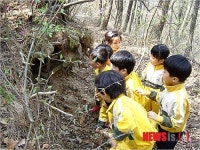 부산시  ‘숲유치원’ 올해 15곳에서 1000여명 모집