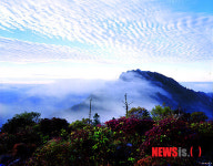산청군 CNN도 감탄한 지리산과 황매산 철쭉