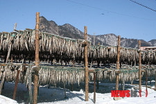 인제 황태마을 설경