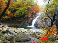 함양 심진동 용추폭포 명승 지정