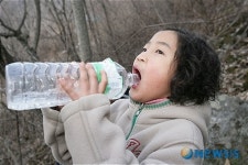인제 미산마을, 고로쇠 수액채취 등 축제준비 한창